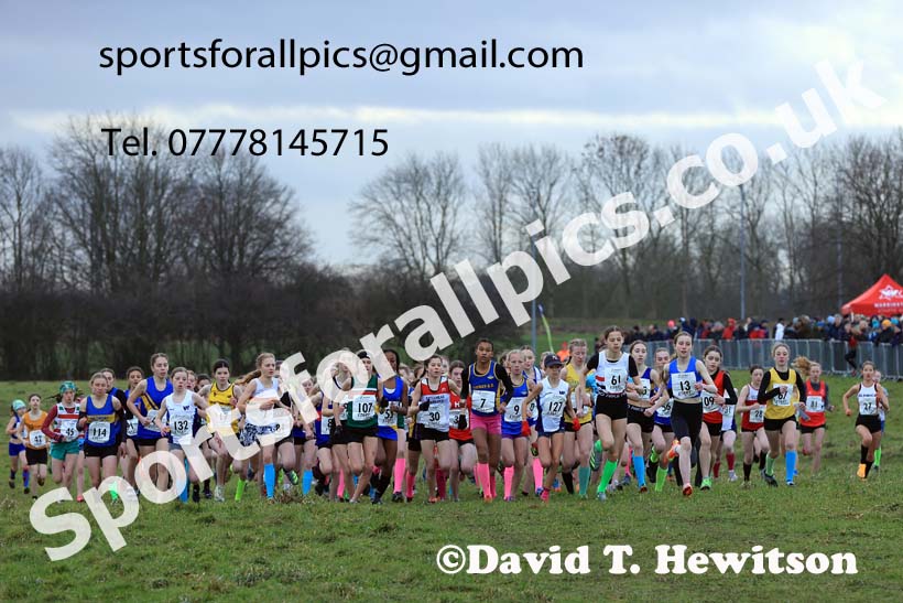 Girls Under-13s 2024 Northern Cross Country Champs., Sedgefield. Photo: David T. Hewitson/Sports for All Pics